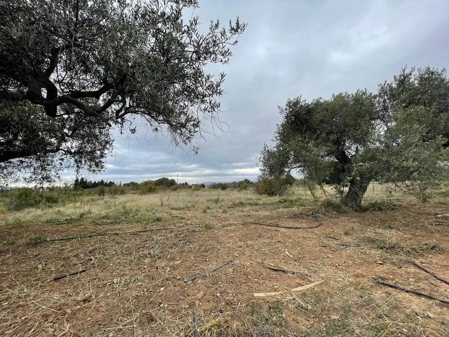 Terreno en venta en Cambrils