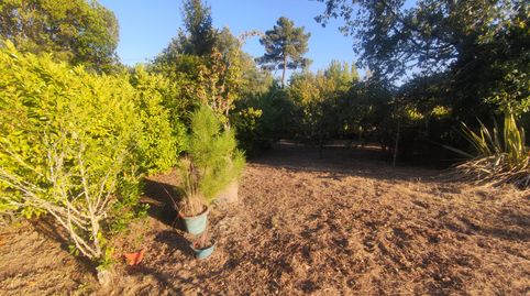 Ref.8482 Finca rústica con galpón y piscina a 5kms de Ourense, imagen 2