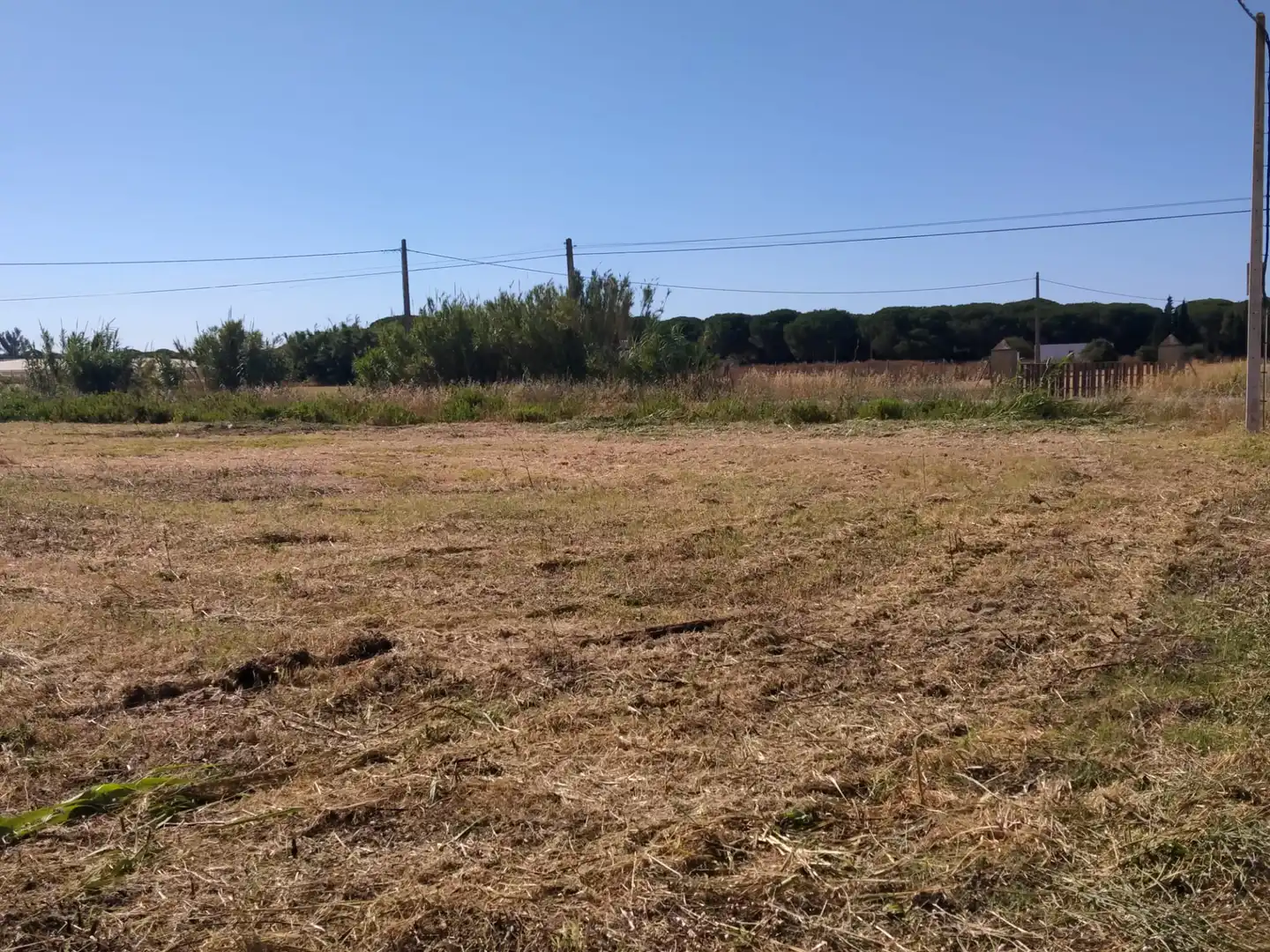 Terreno en venta en Conil de la Frontera