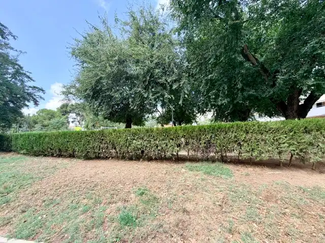 Loft con terraza en venta en Carrer de Wagner, imagen 30