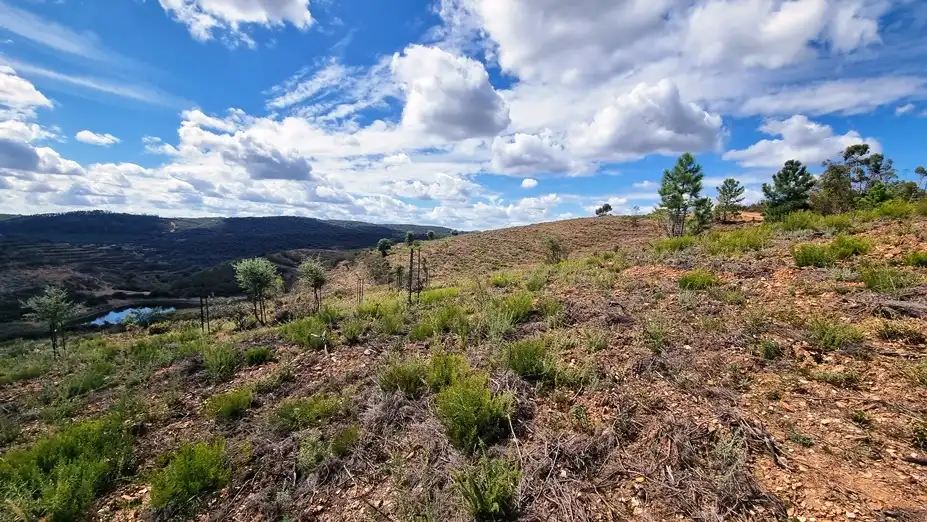 Finca de alcornoques en Higuera de la Sierra, imatge 5