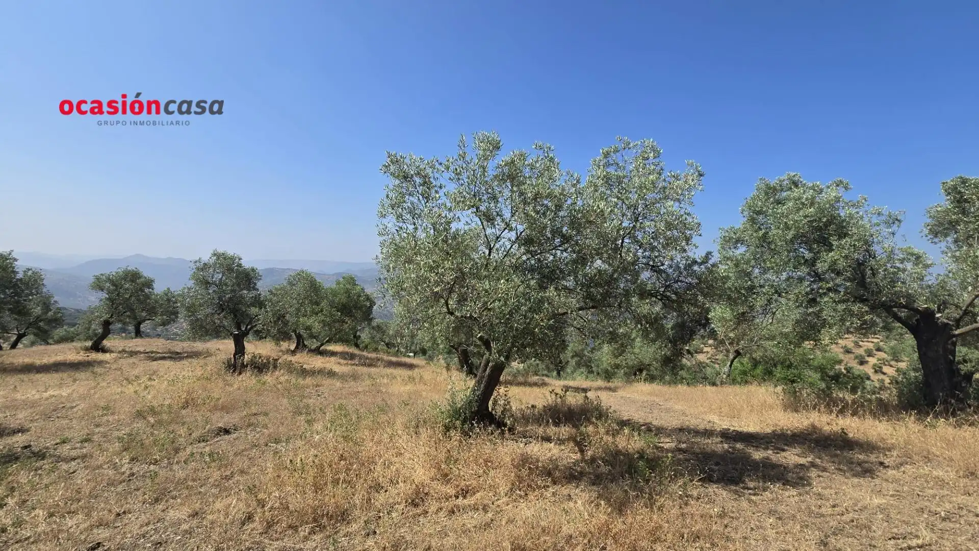 Finca rústica en venta en Pozoblanco