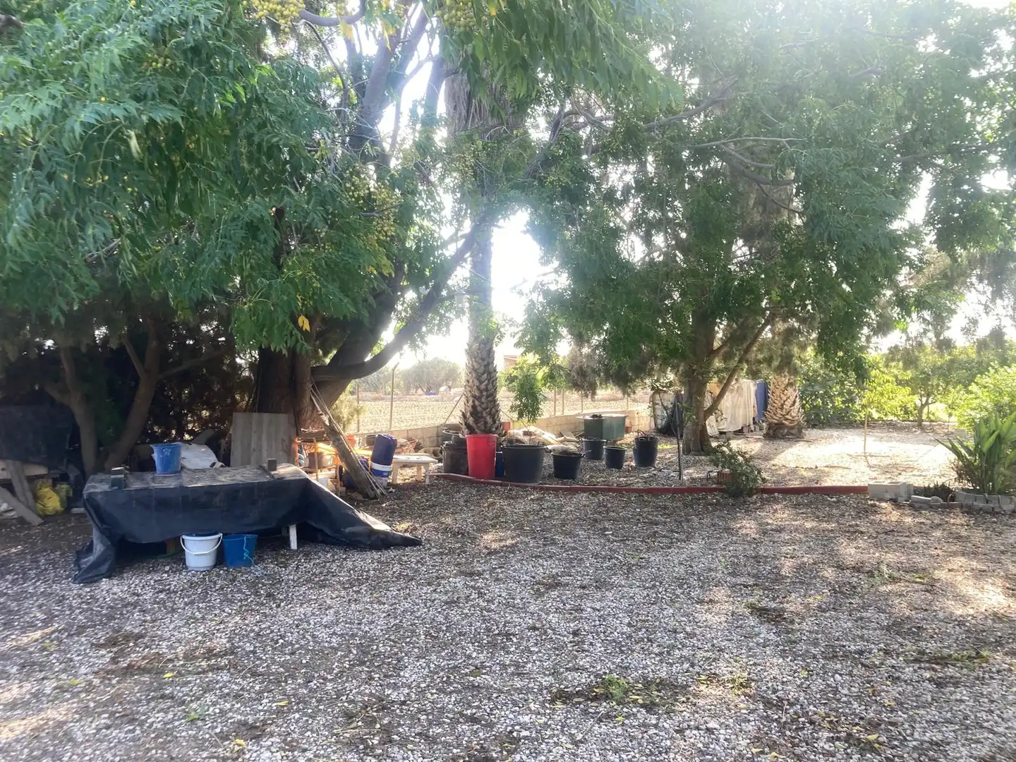 Terreny rústic en venda a Dolores, imagen 18