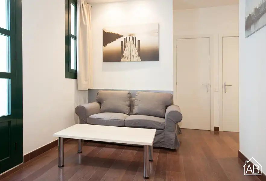 Wohnzimmer von Wohnungen zum Verkauf in Barcelona mit Möbliert und Balkon