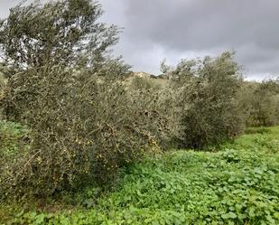 Residential for sale in Arcos de la Frontera