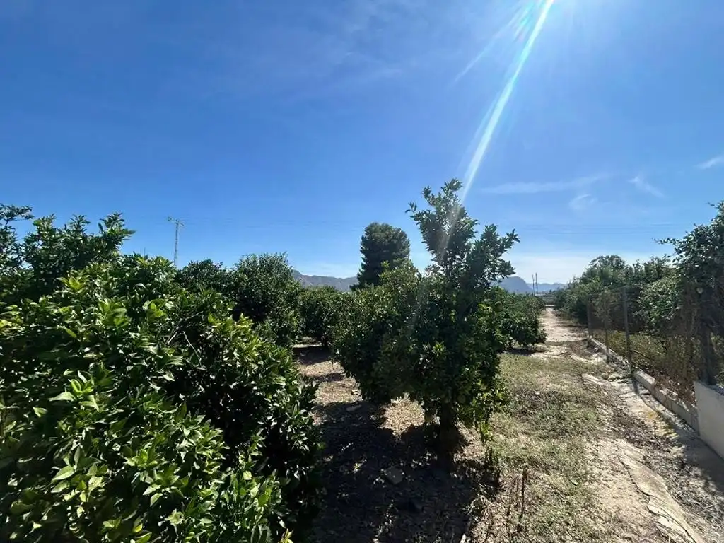 Rustikales Grundstück zum Verkauf in Ricote, imagen 3