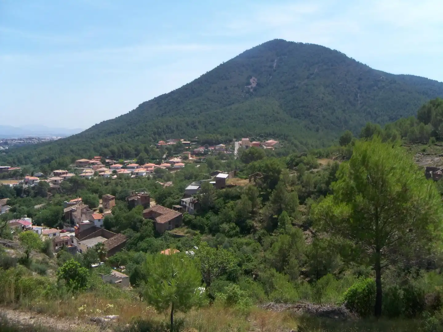 Terrain rustique à vendre à Partida Sonella