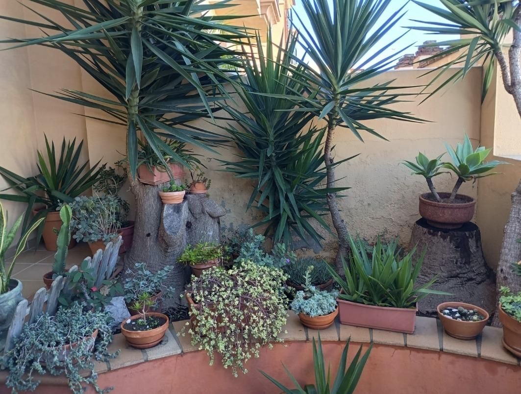 Jardí de Casa o xalet en venda en  Madrid Capital