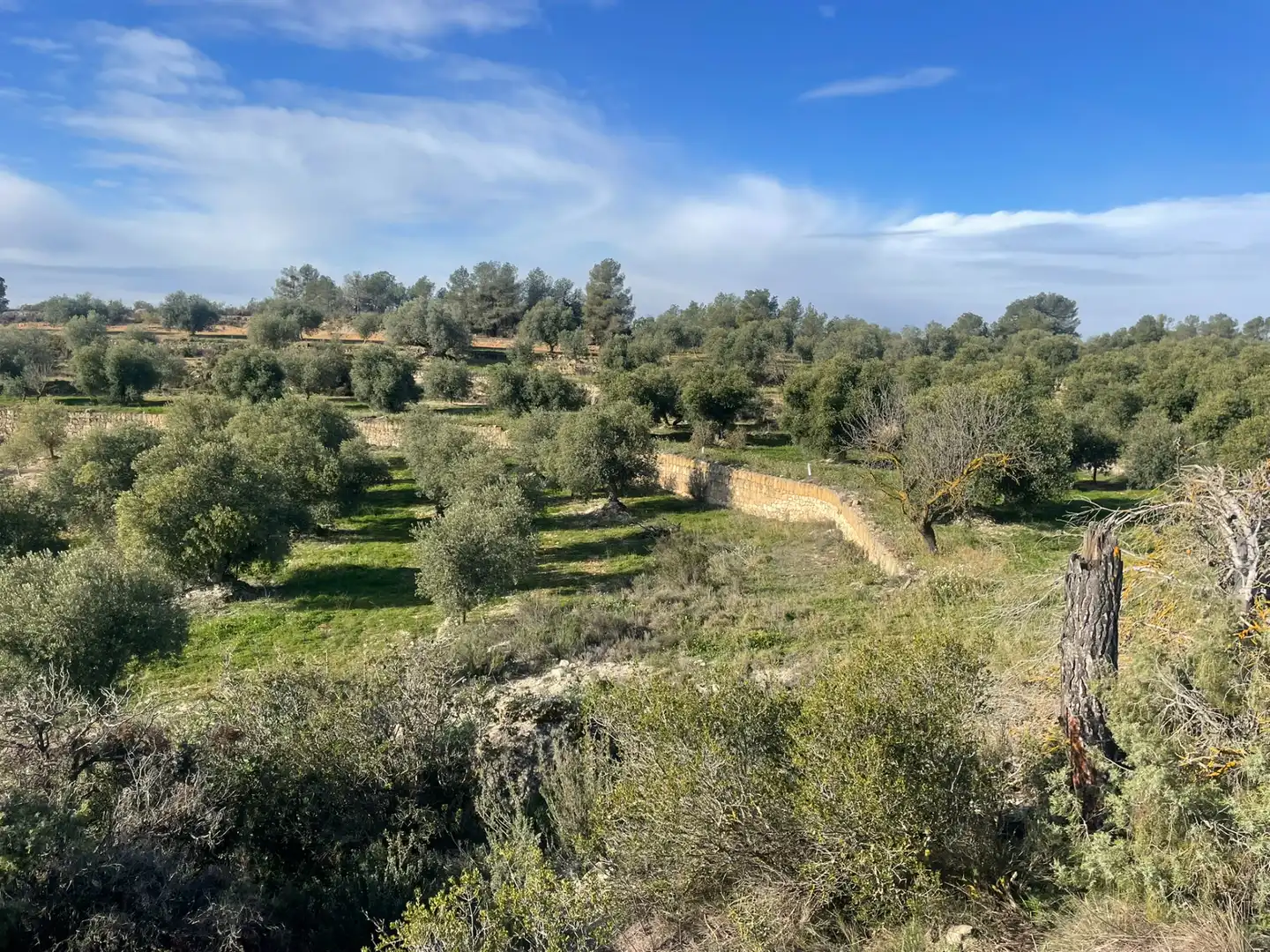 Rural land for sale in Cervià de Les Garrigues, imagen 22