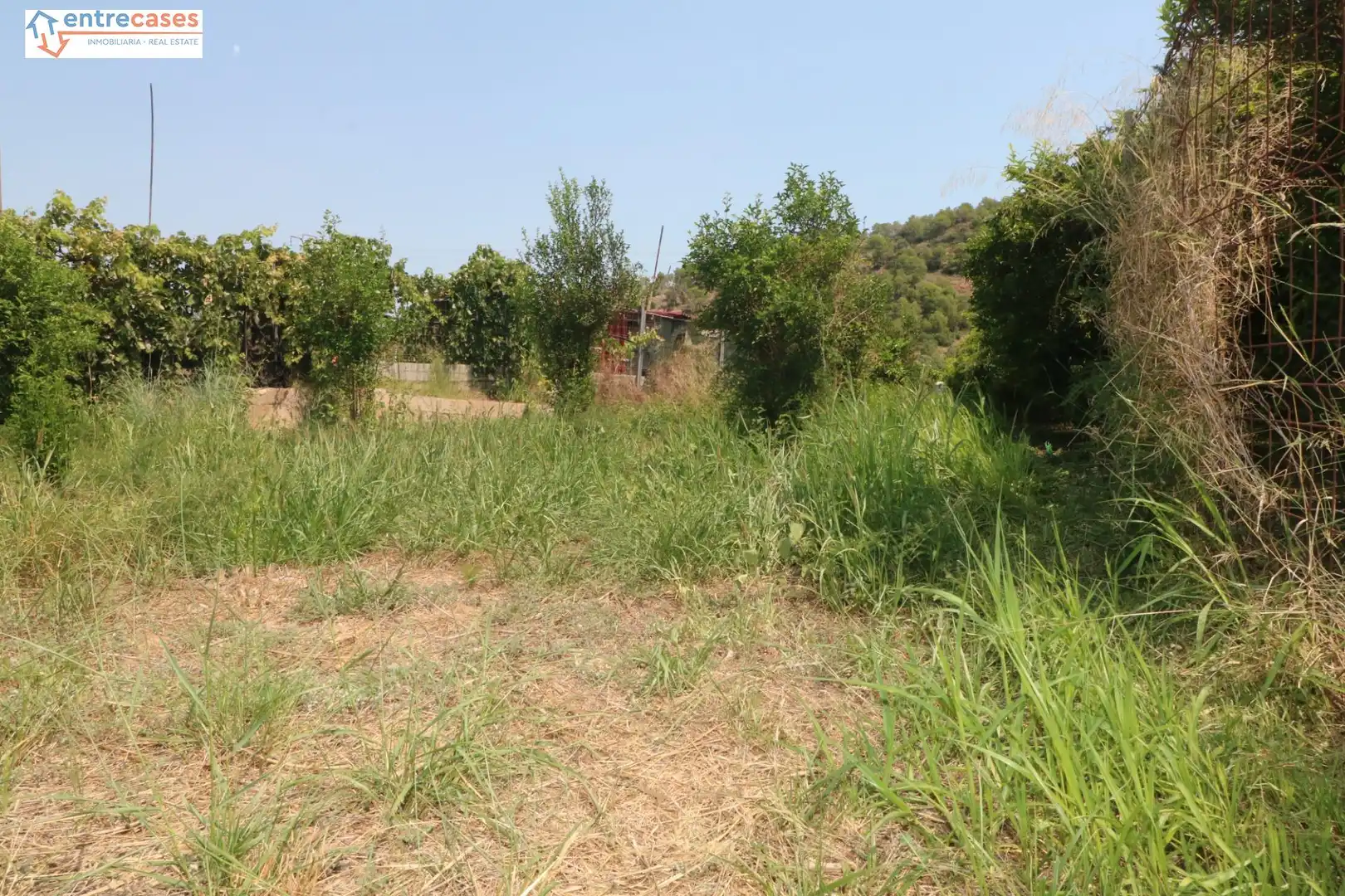 Rural land for sale in Gilet, imagen 13