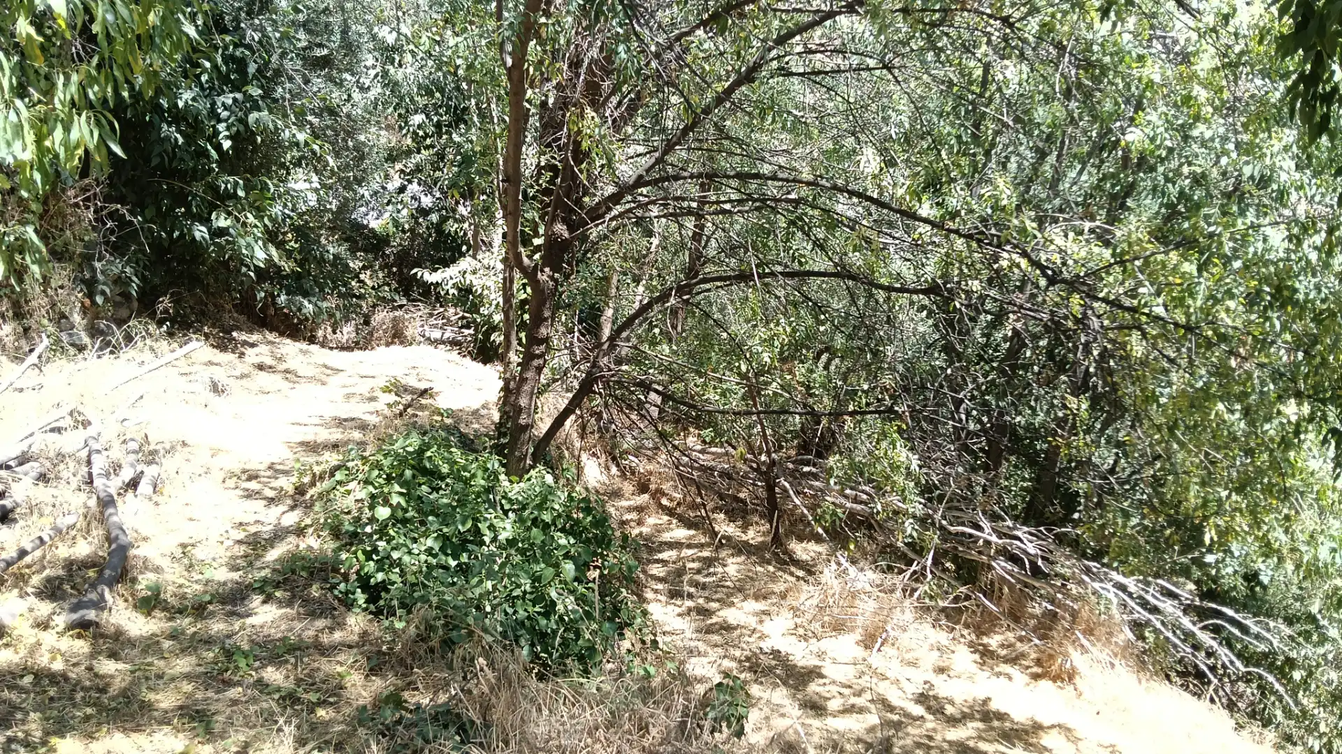 Finca rústica en venda en Alpujarra de la Sierra amb Calefacció, Jardí privat i Moblat