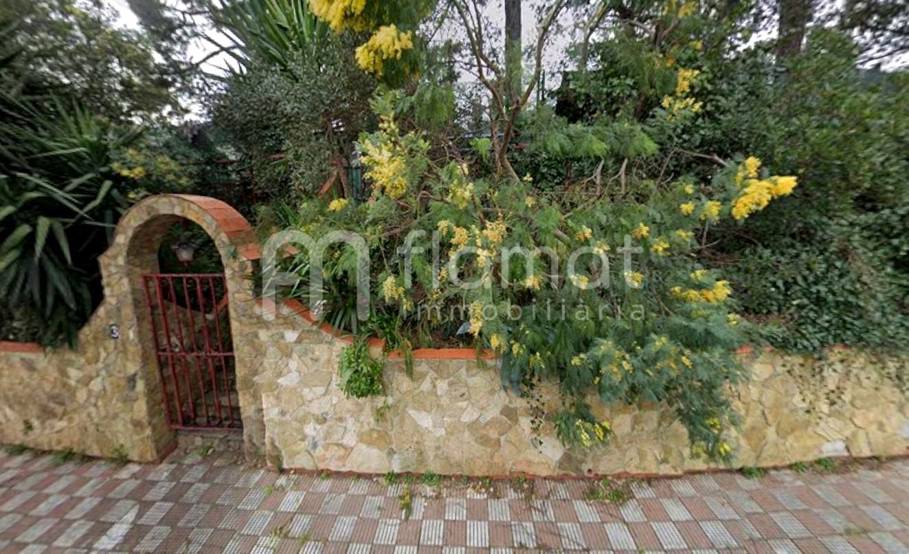 Jardí de Casa o xalet en venda en Lloret de Mar amb Jardí privat i Piscina