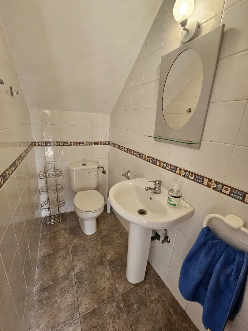 Bathroom of Houses for rent in Cabanillas de la Sierra  with Heating, Private garden and Terrace
