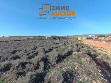 Terrain rustique à vendre à Calle Planta 254A