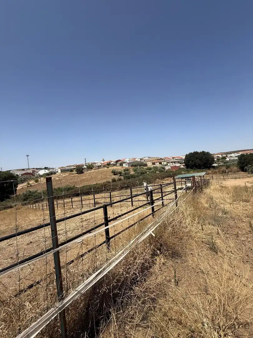Finca rústica en venta en San Pedro de Mérida con Amueblado