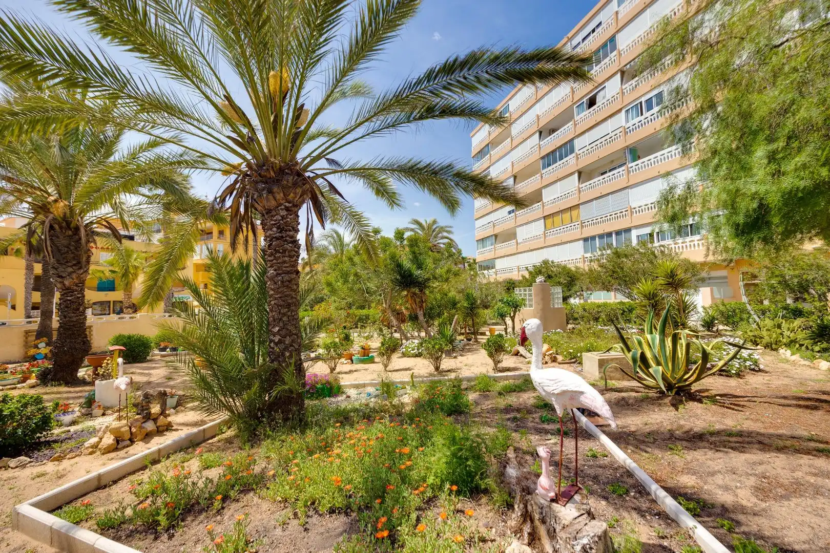 Vista exterior de Apartamento en venta en Torrevieja con Terraza y Amueblado