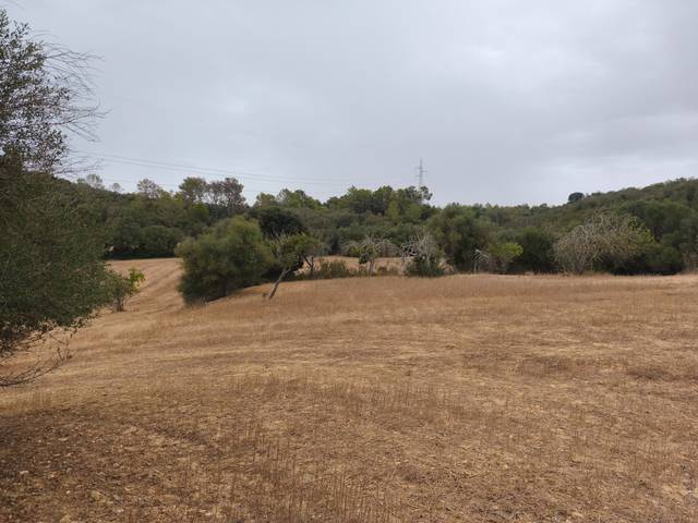 Terreno en Venta en Sineu
