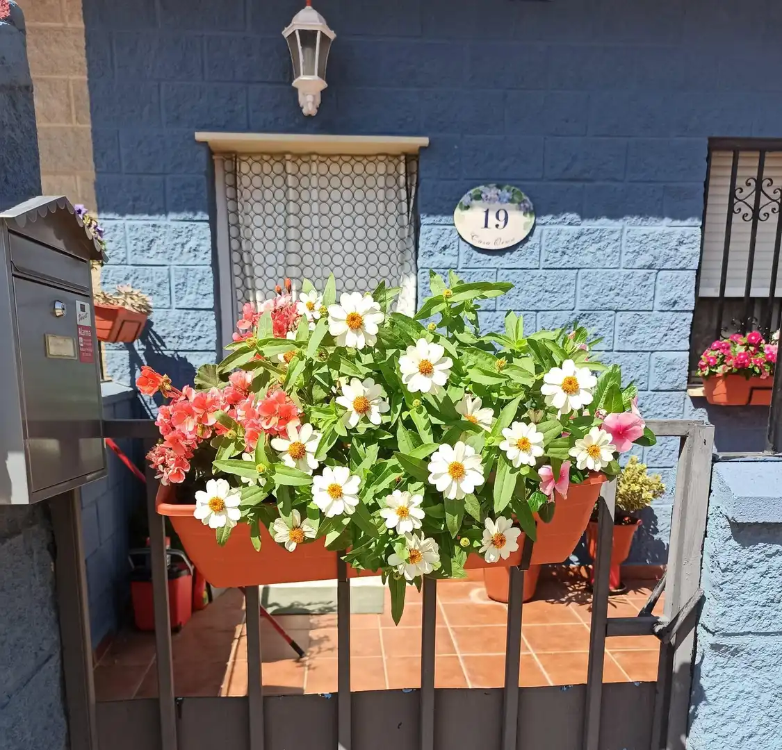 Casa adosada en venta en Villahermosa del Campo