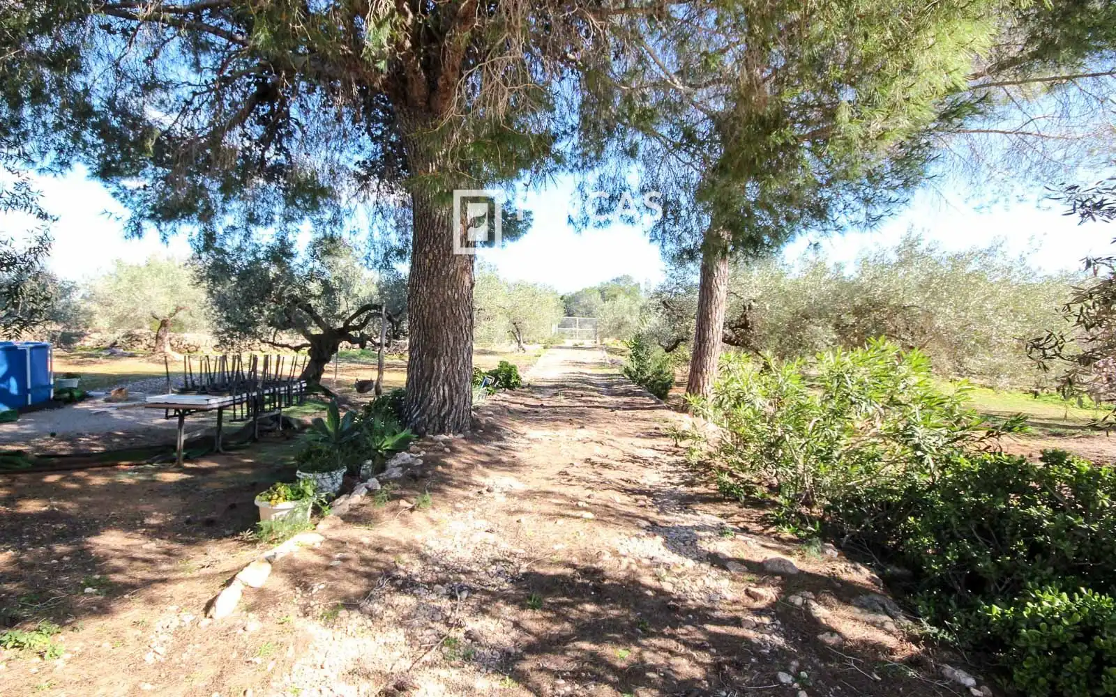 Vista exterior de Finca rústica en venda en Camarles amb Terrassa i Moblat