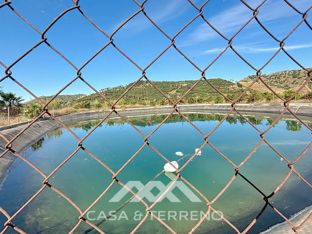 Piscina de Casa o xalet en venda en Vélez-Málaga amb Aire condicionat, Jardí privat i Terrassa