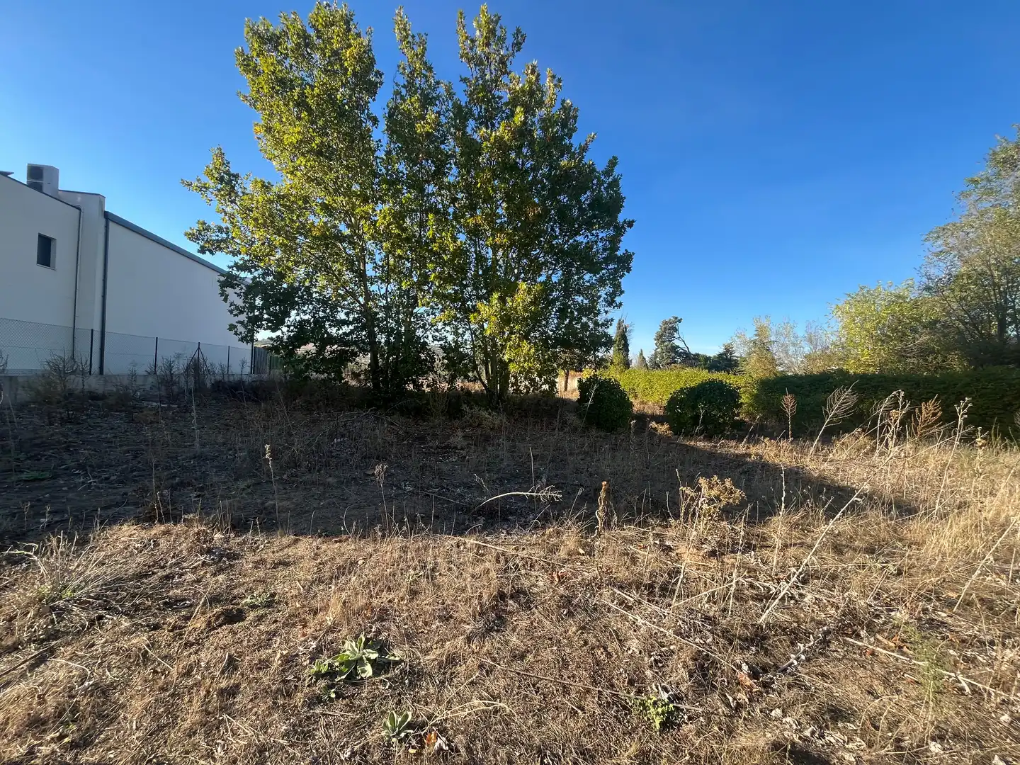 Terreno residenziale in vendita a Camino Pesqueruela 9, imagen 2