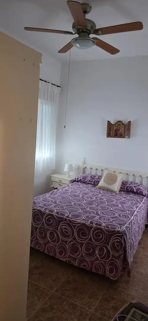 Apartments for rent in Centro