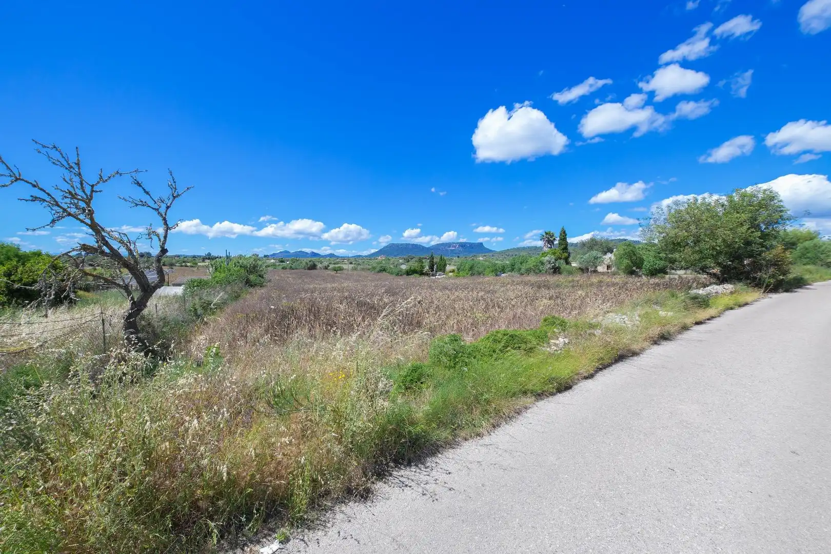 Terreno rustico in vendita a Poligono, imagen 2