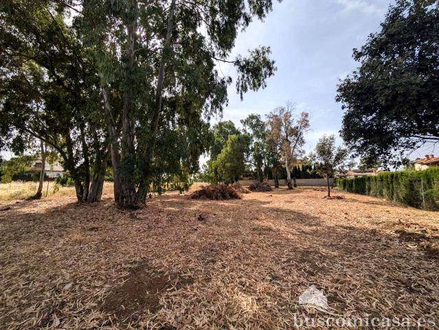 Terreno residencial en Venta en Casualidad en San Roque - La Cruz - La Rozuela