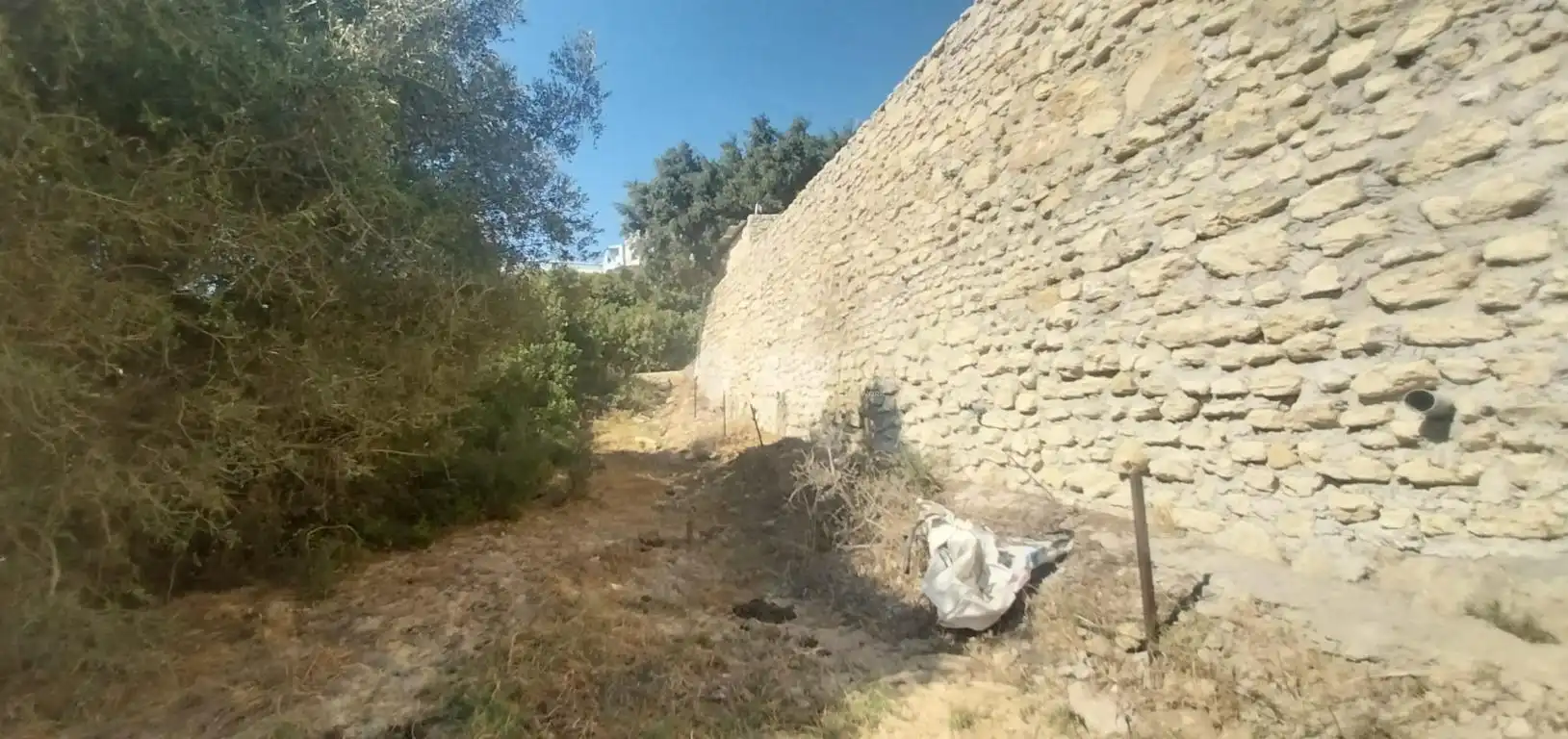 Terreni e lotti in vendita a Vejer, imagen 13