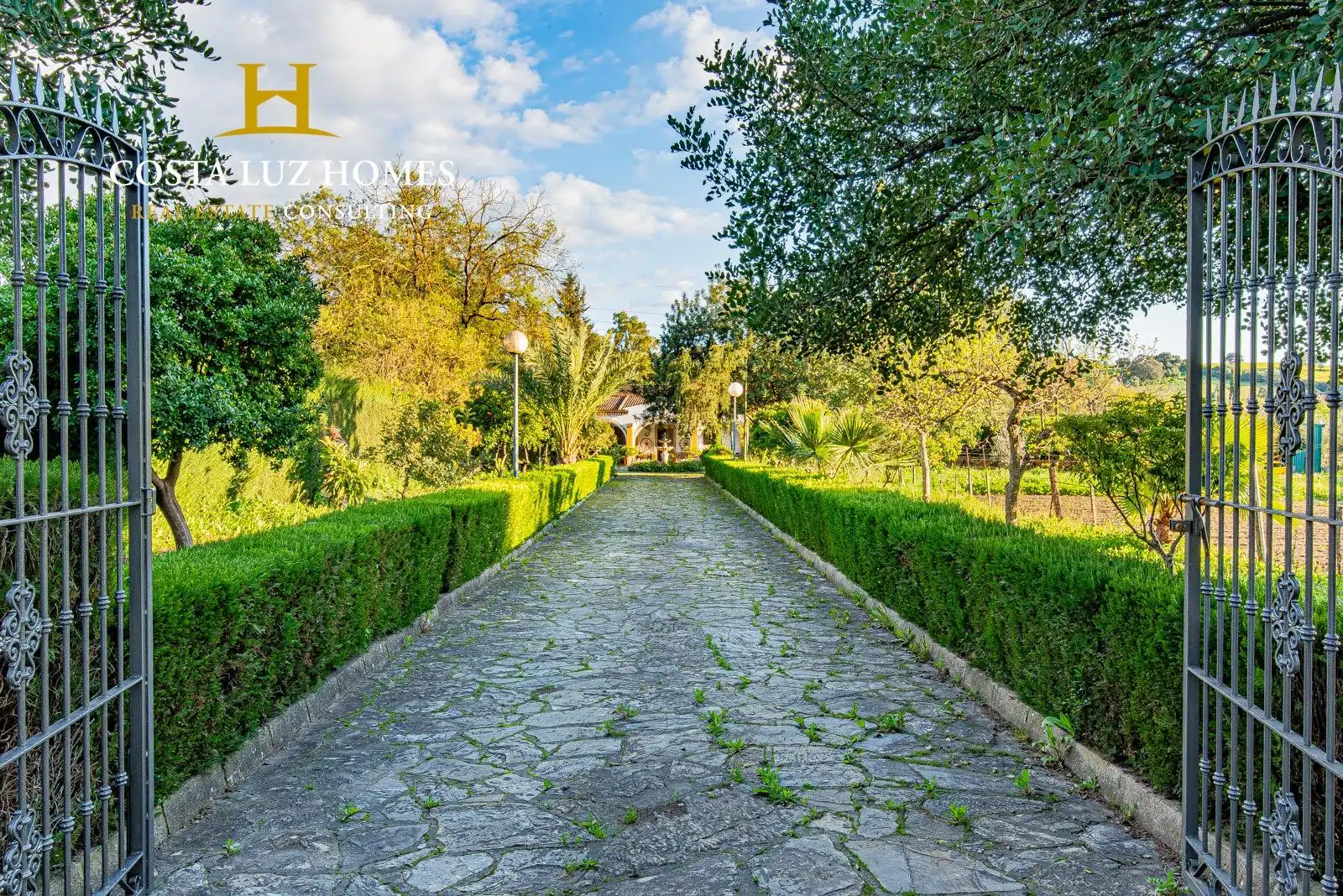 Vista exterior de Casa o chalet en venta en Prado del Rey con Jardín privado, Terraza y Trastero