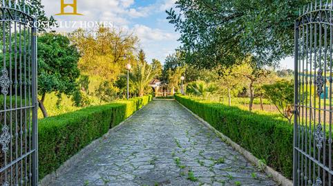 Photo 5 of House or chalet for sale in Prado del Rey, Cádiz