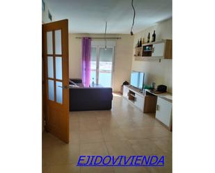 Living room of Flat for sale in El Ejido  with Furnished and Balcony