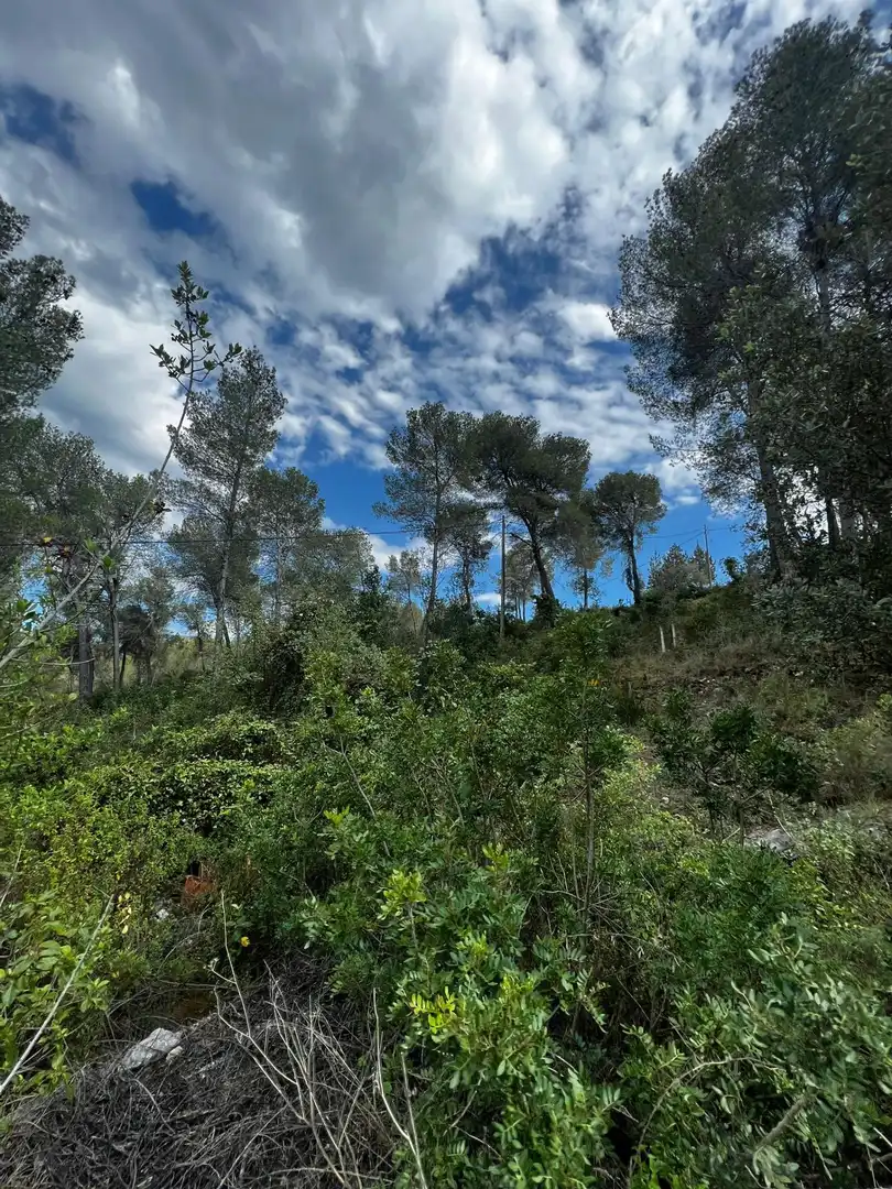 Residential for sale in Subirats