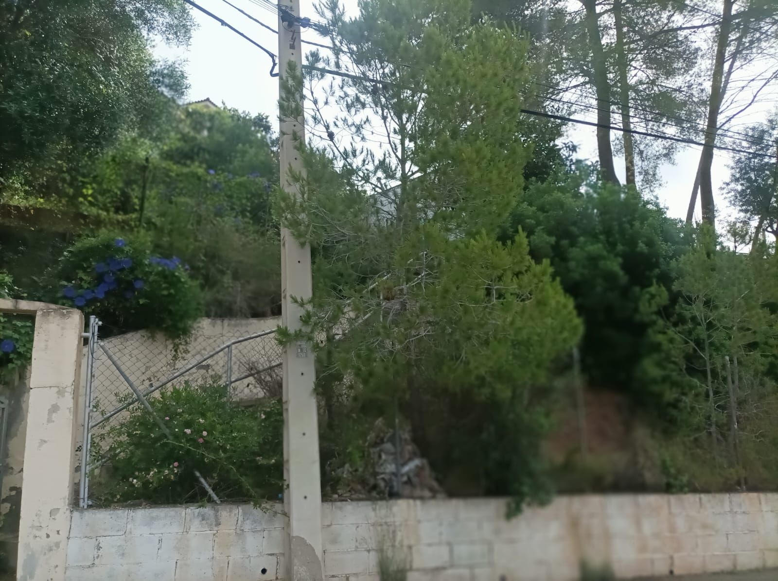 Finca rústica en venda a Corbera de Llobregat