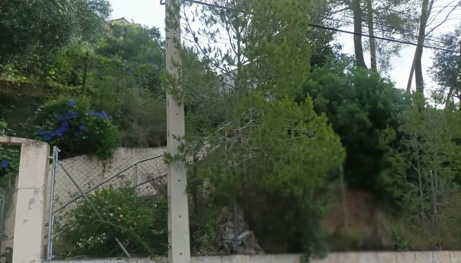 Foto 1 de Finca rústica en venda a Corbera de Llobregat, Barcelona