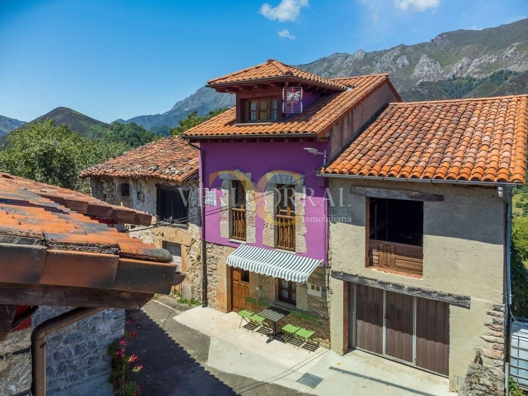 Vista exterior de Casa adosada en venda en Peñamellera Alta amb Calefacció