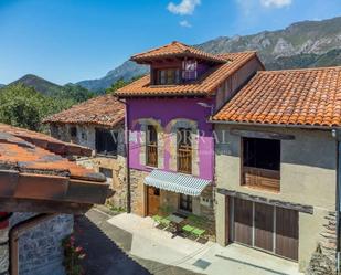 Vista exterior de Casa adosada en venda en Peñamellera Alta amb Calefacció