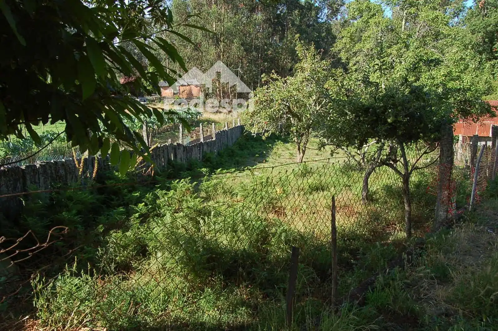 Terreny rústic en venda a Salvaterra de Miño, imagen 5
