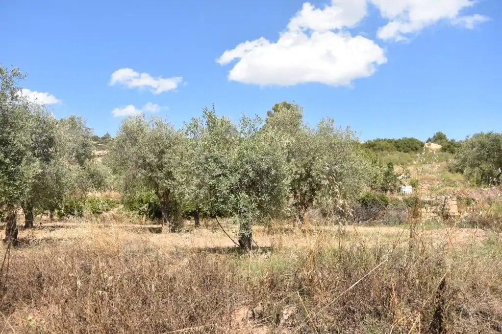 Terreni e lotti in vendita a Mazaleón, imagen 6
