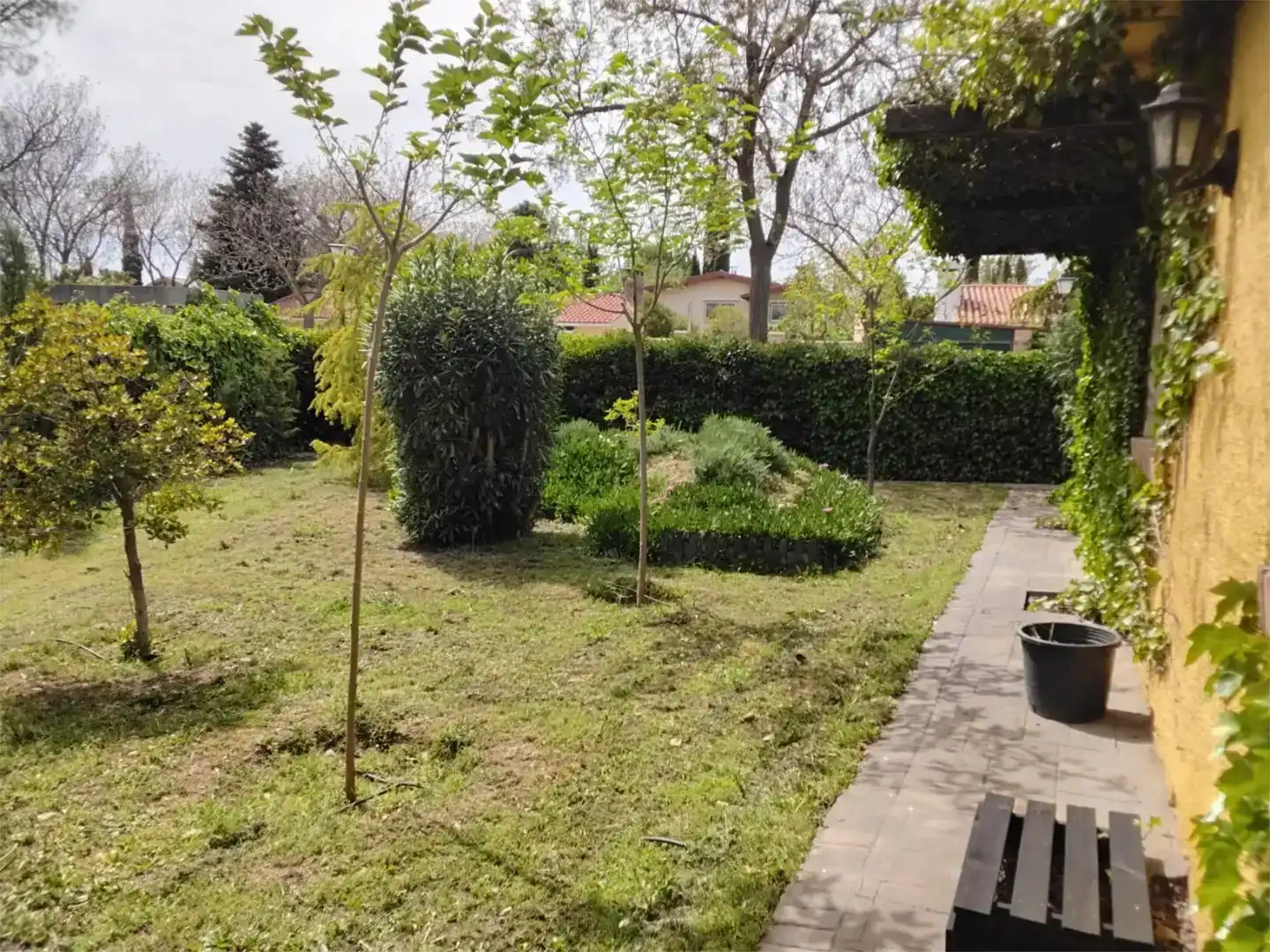 Jardí de Casa o xalet en venda en Miguelturra amb Piscina i Balcó