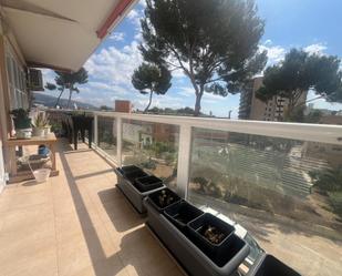 Terrace of Flat to rent in Calvià  with Air Conditioner, Terrace and Balcony