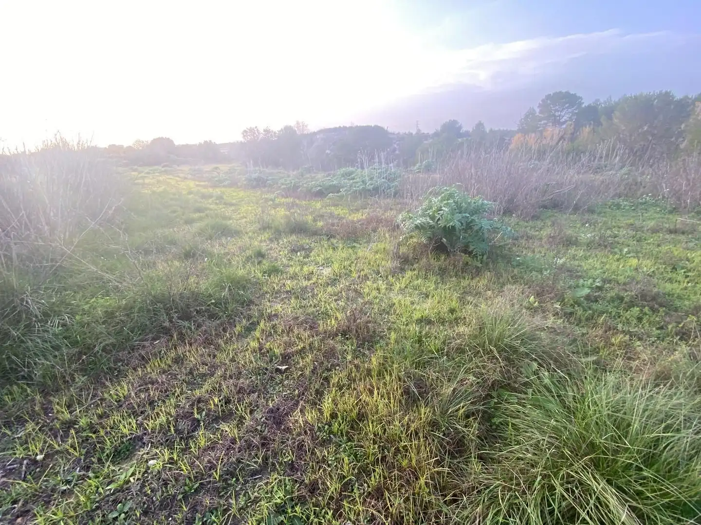 Residencial en venda en Arjona