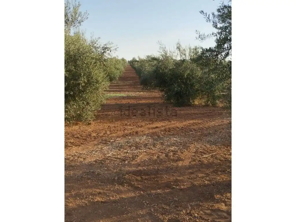 Country house zum Verkauf in Almendralejo