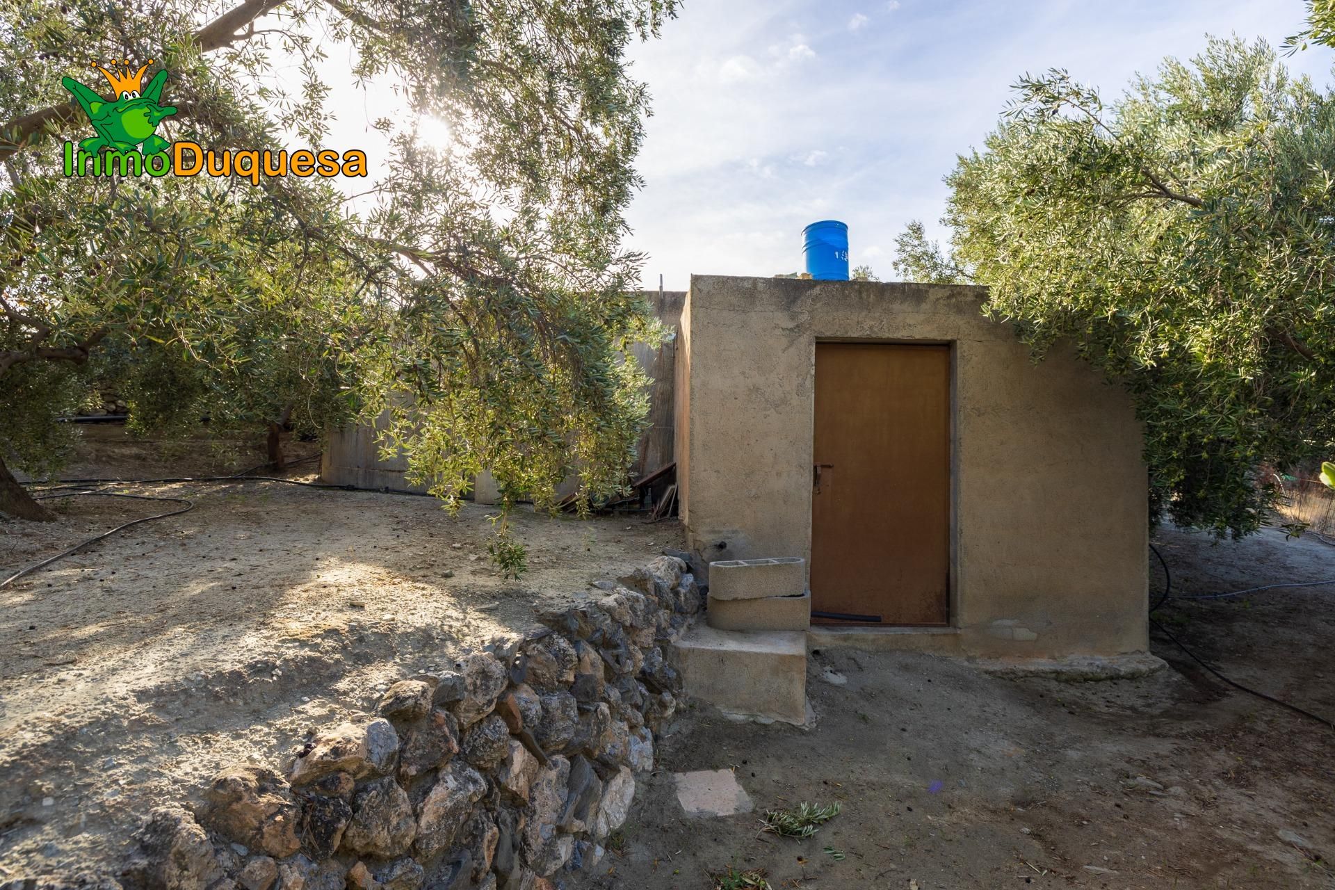 Vista exterior de Finca rústica en venda en El Pinar