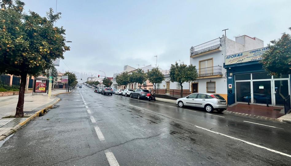Foto 1 de Casa adosada en venda a Calle Pablo Coso Calero, 107, Zona Universitaria, Sevilla