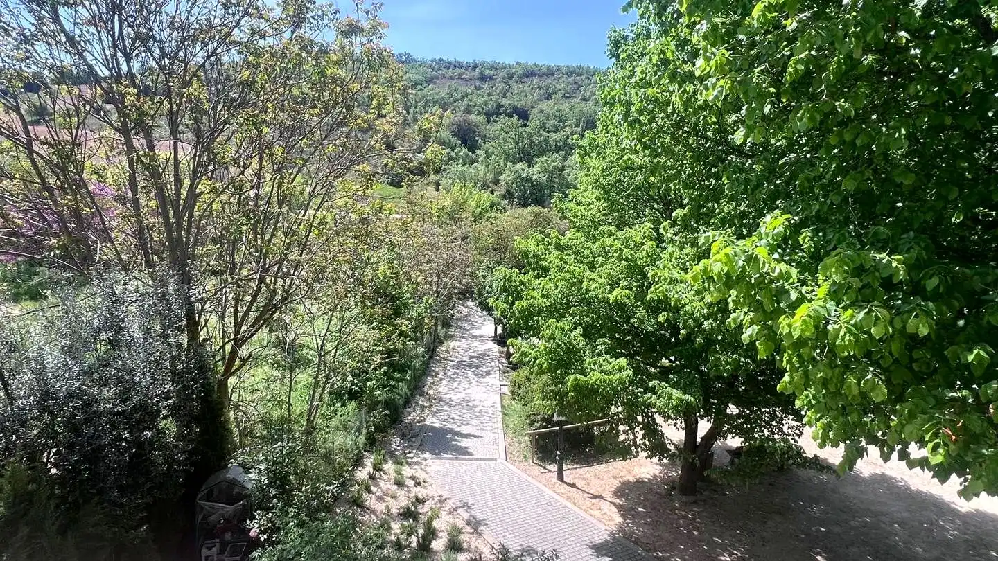 Jardí de Casa adosada en venda en Olmeda de las Fuentes amb Calefacció i Jardí privat