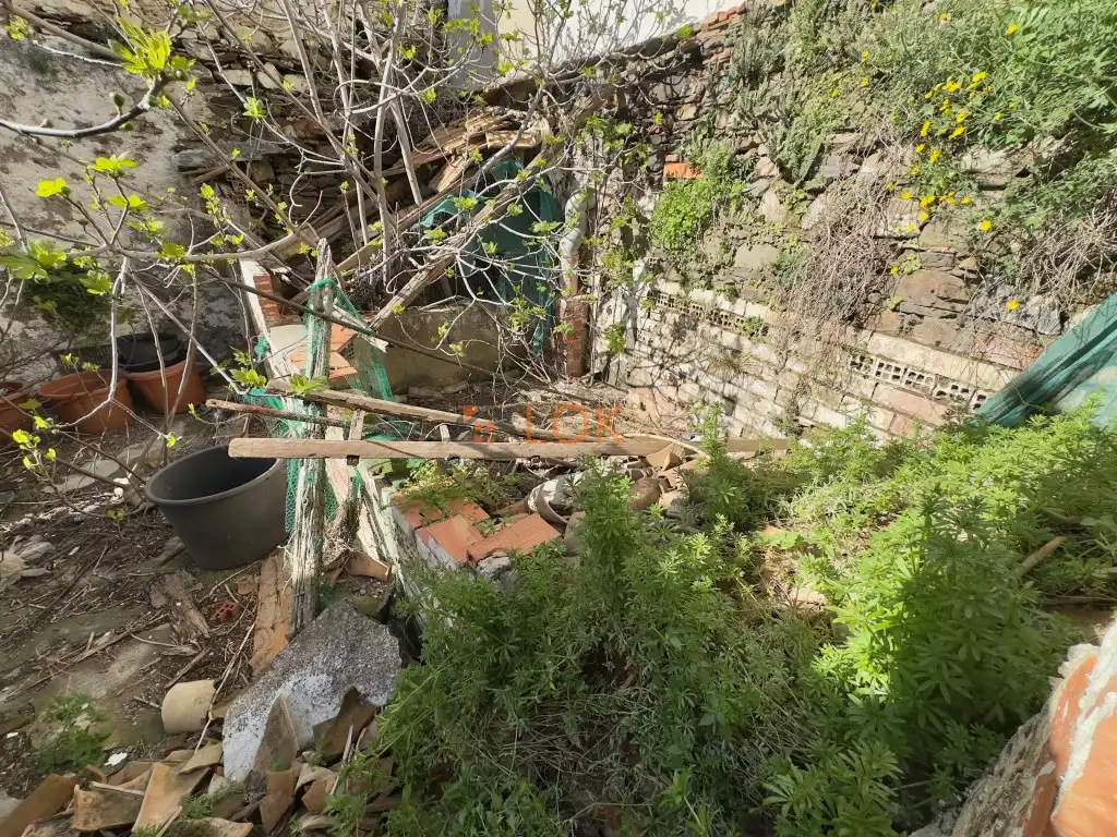 Jardín de Casa o chalet en venta en Moclinejo