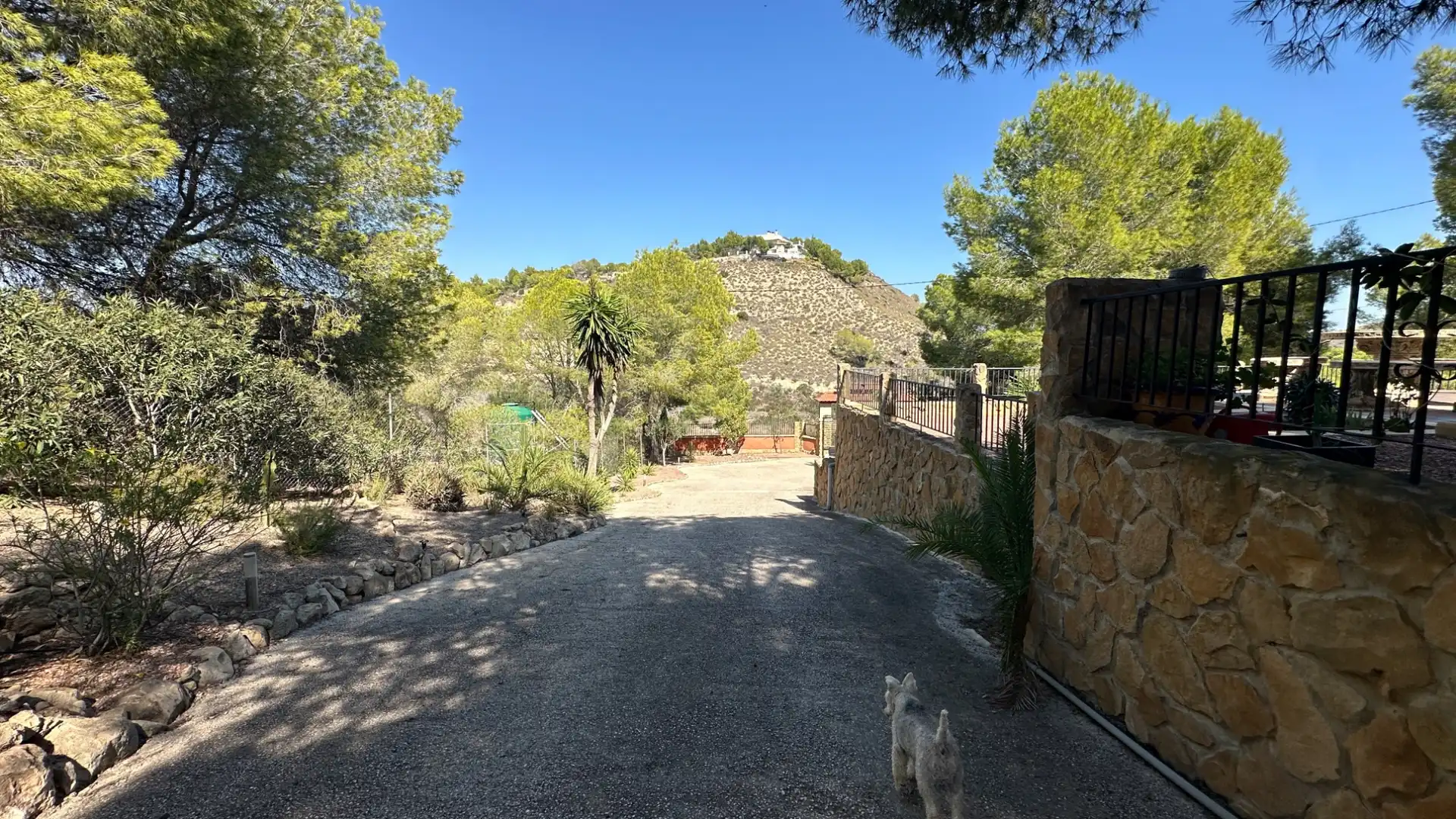 Casa rústica en venta en Desamparados - Hurchillo - Torremendo, imagen 23
