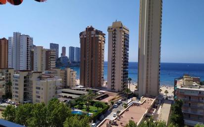 Vista exterior de Estudi en venda en Benidorm amb Jardí privat, Terrassa i Piscina comunitària