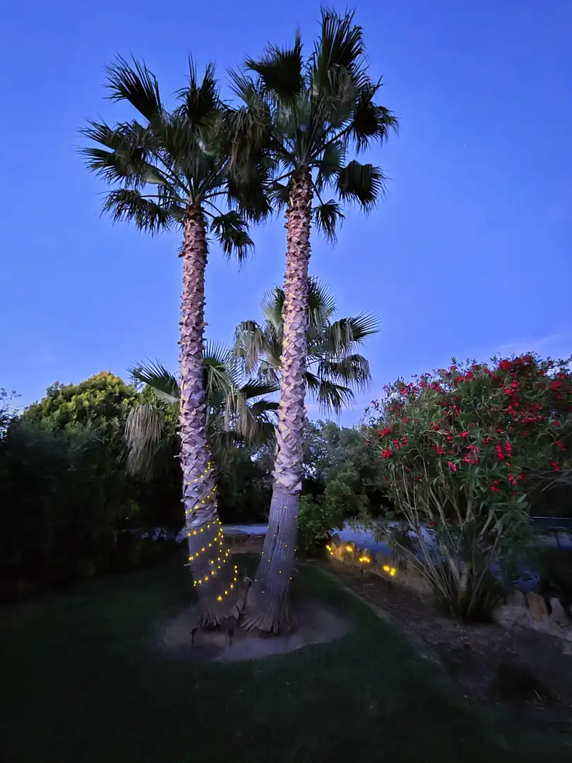 Jardín de Casa o chalet de alquiler en Sa Pobla con Calefacción, Jardín privado y Terraza